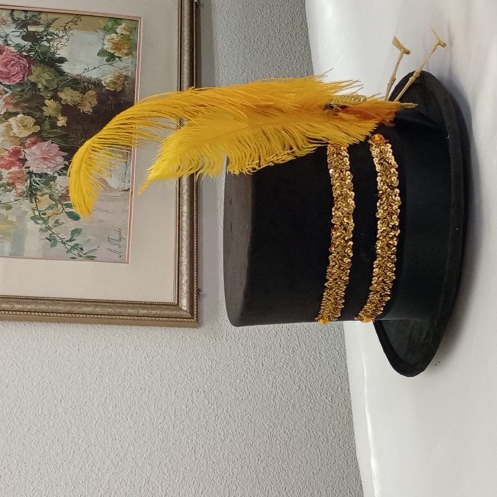 Men's Costume Top Felt Hat